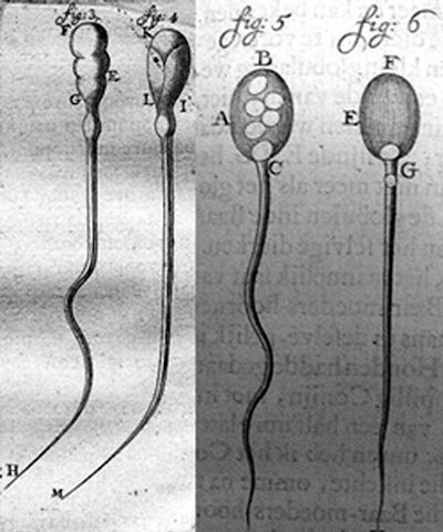 An external file that holds a picture, illustration, etc., usually as some form of binary object. The name of referred object is rmmj-7-2-e0017-g002.gif